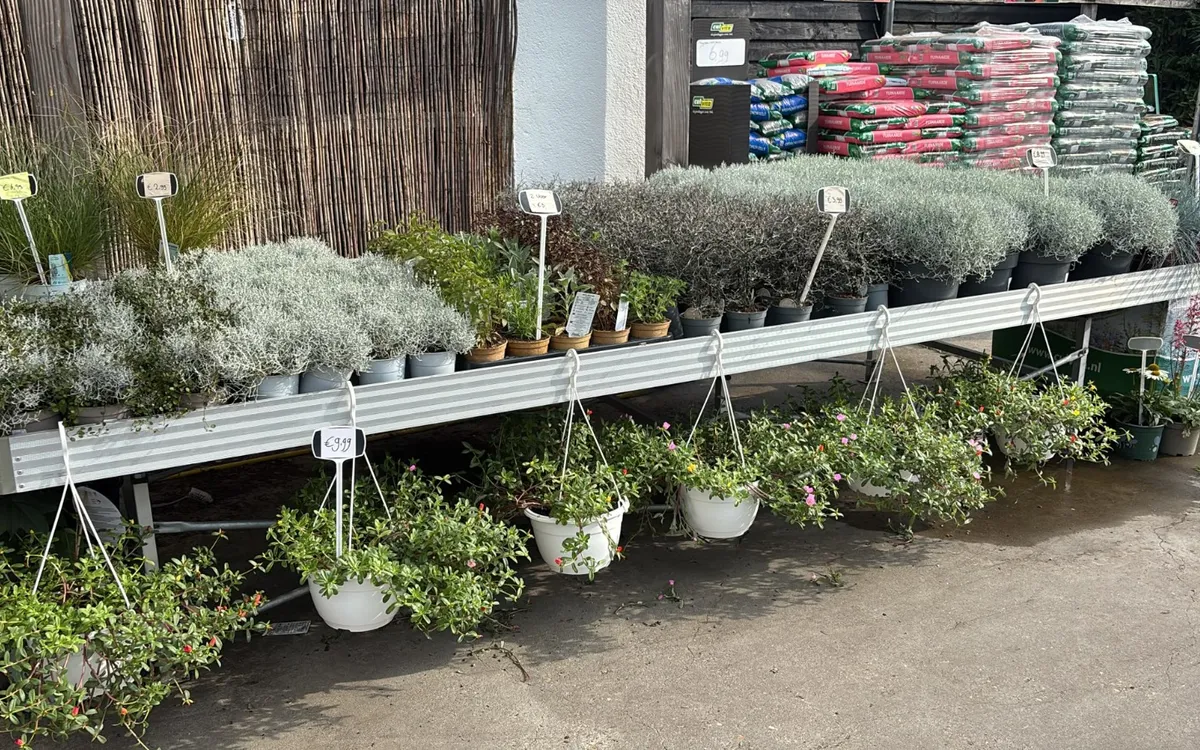 Het buitenterrein met de stellingen vol planten, hangpotten eronder en de zakken grond erachter